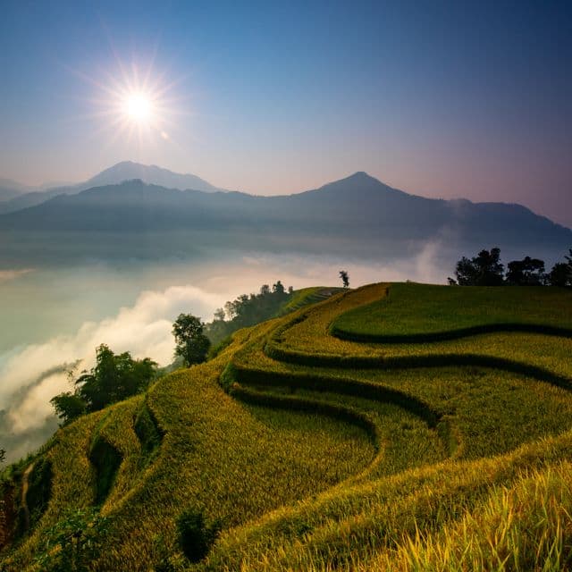Popular Tours
