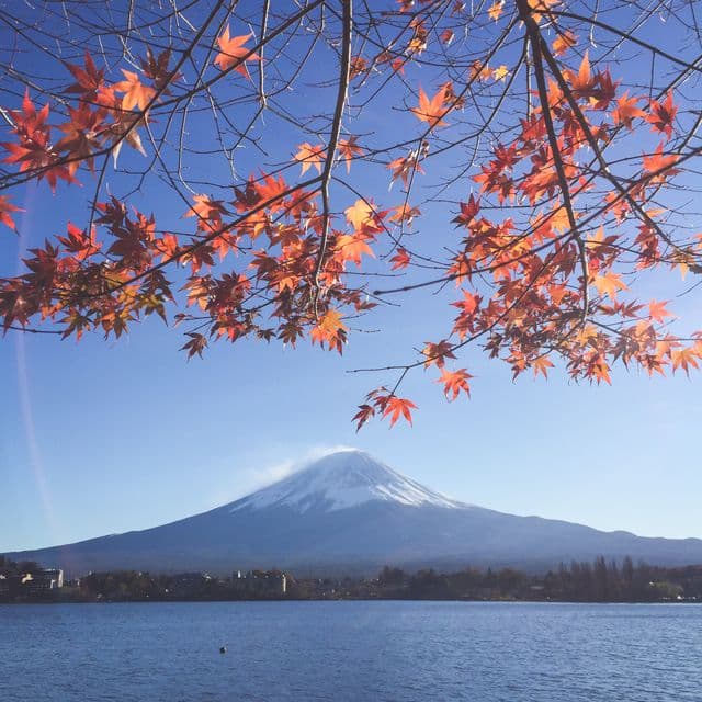 Popular Tours